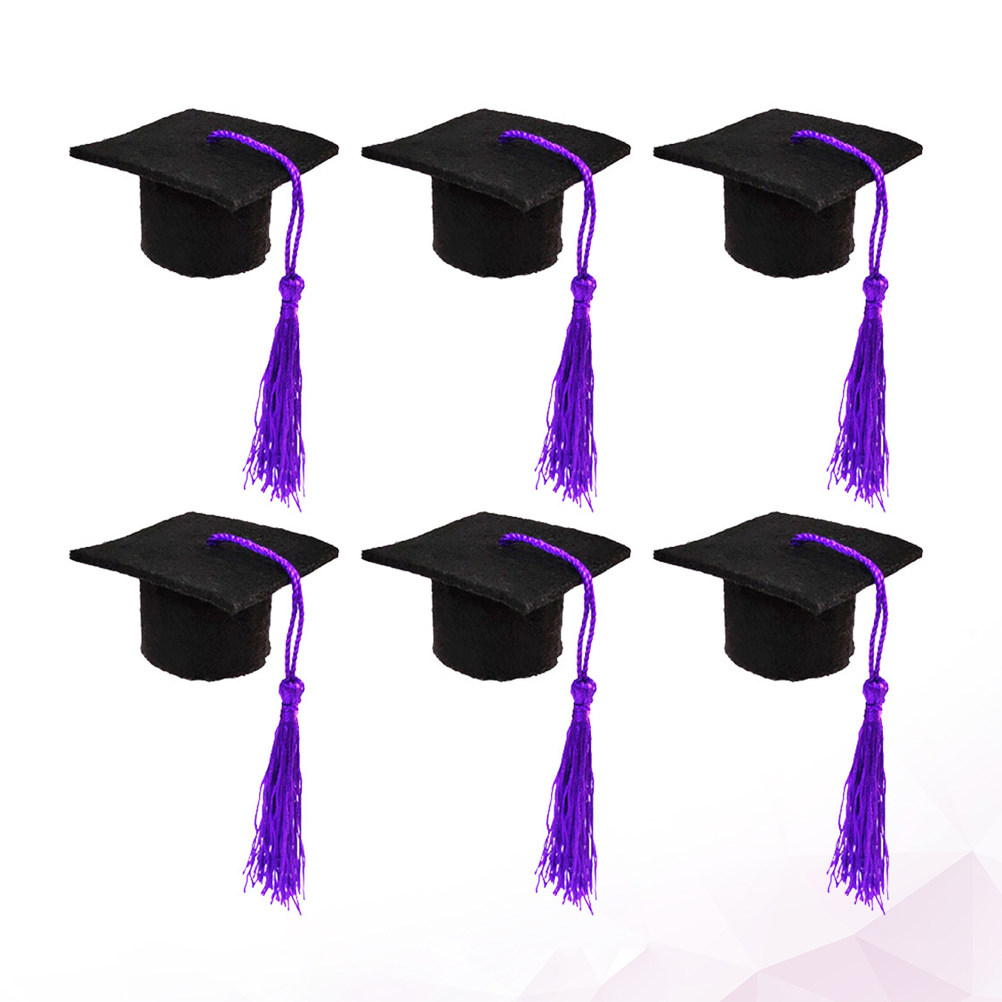 6Pcs Doctoral Cover Mini Docto - Wine Beer Hat review and price