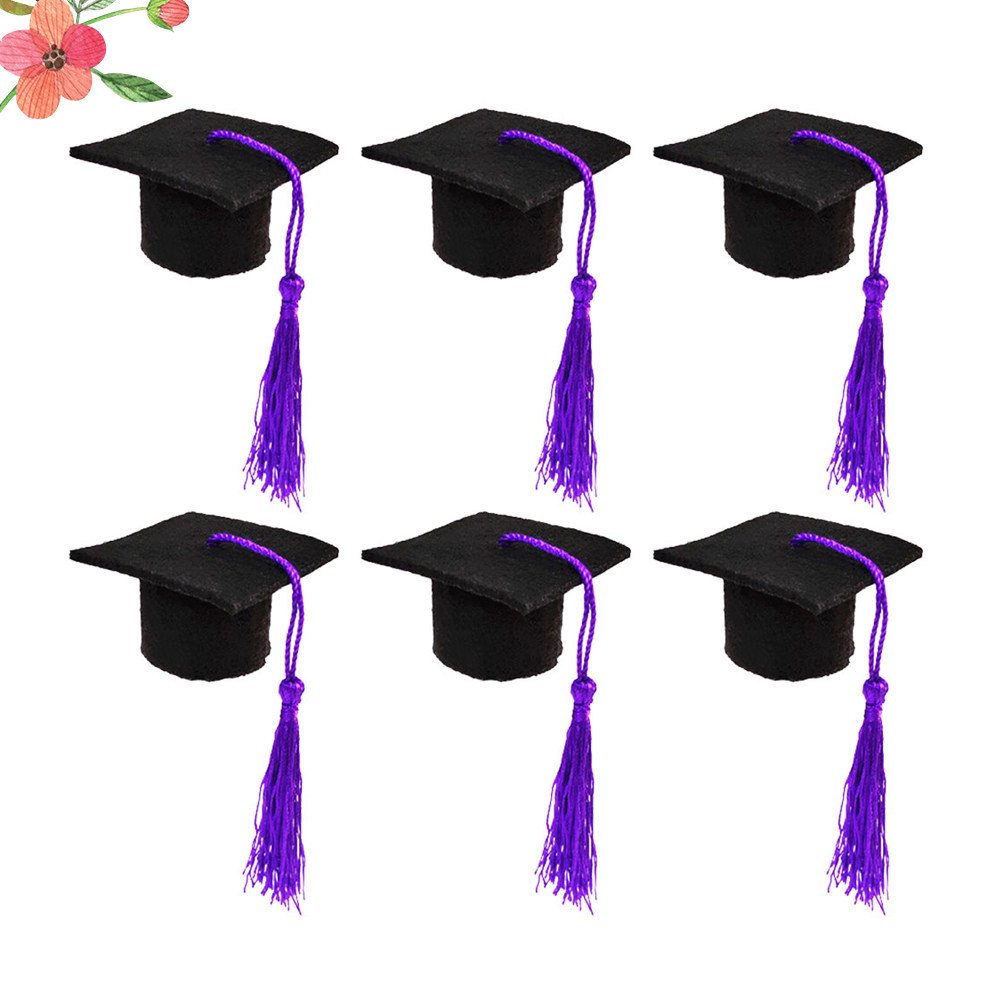 6Pcs Doctoral Cover Mini Docto - Wine Beer Hat review and price