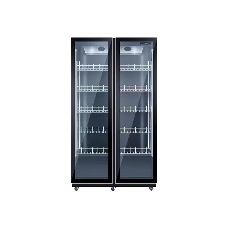 Double Door Air Cooling Refrig - Wine Beer Dual Zone review and price