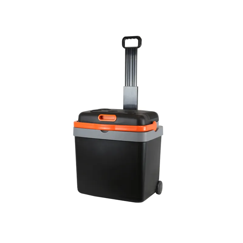 33L Portable Electric Car Refr - Wine Beer Dual Zone review and price